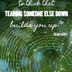 “Isn't it kind of silly to think that tearing someone else down builds you up?” - Sean Covey